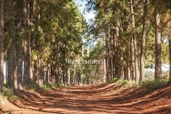 land_lot em Avenida Haras Patente, Residencial Haras Patente - Jaguariúna - SP