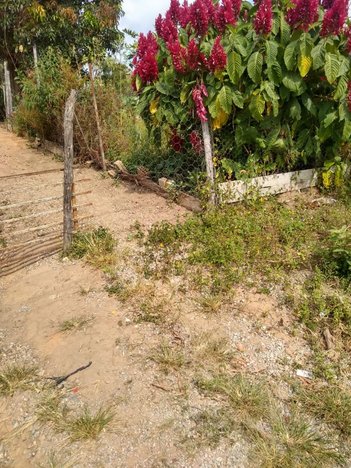 land_lot em Rua das Perobas, Novo Retiro - Esmeraldas - MG