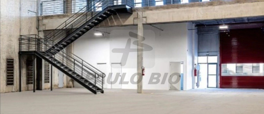 image - 2025-10-20T154127