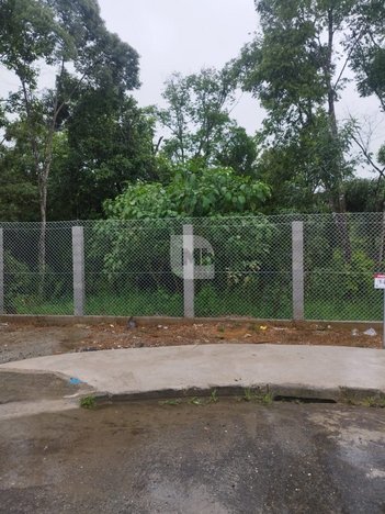 agricultural em Rua da Carnaúba, Embu - Colombo - PR