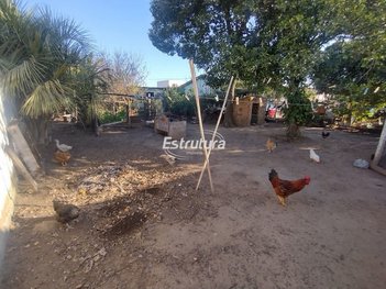 land_lot em Rua São Sebastião, Boi Morto - Santa Maria - RS