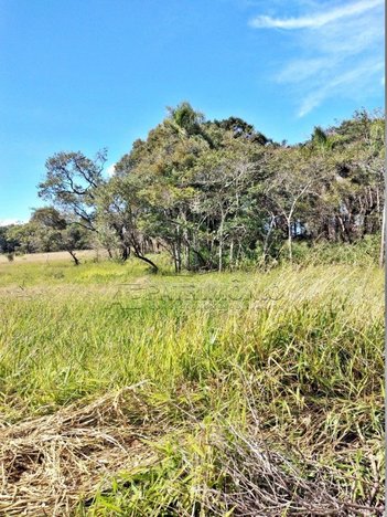 commercial_building em Estrada Municipal, Jardim Tatiana - Votorantim - SP