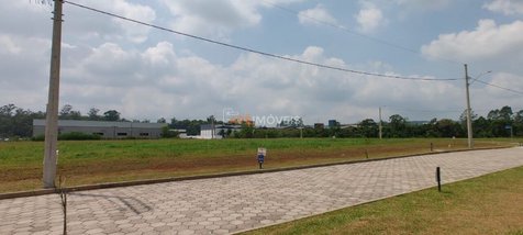 land_lot em Rodovia Alexandre Beloli, Primeira Linha - Criciúma - SC