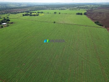 agricultural em Rodovia MG-164, Chácaras Mirante - Bom Despacho - MG