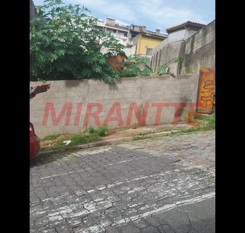 land_lot em Nicola Nicodemo, Vila Celeste - São Paulo - SP