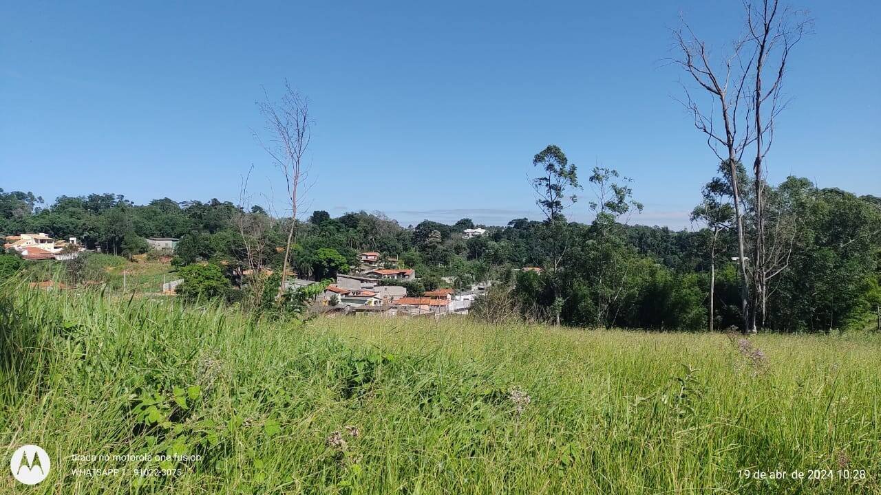 image-0