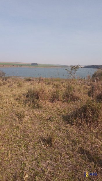 agricultural em Área Rural, Área Rural de Holambra - Holambra - SP