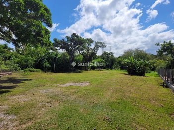 land_lot em SC-405, Ribeirão da Ilha - Florianópolis - SC