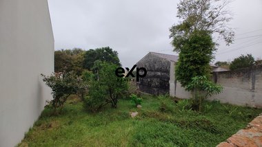 land_lot em Rua Doutor Marins Alves de Camargo, Tingui - Curitiba - PR