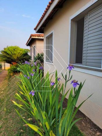house em Avenida João Procópio da Silva, Jardim Esmeralda - Marília - SP