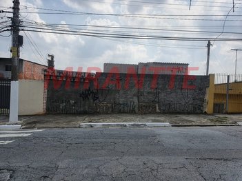 land_lot em Dos Patis, Vila Nova Cachoeirinha - São Paulo - SP