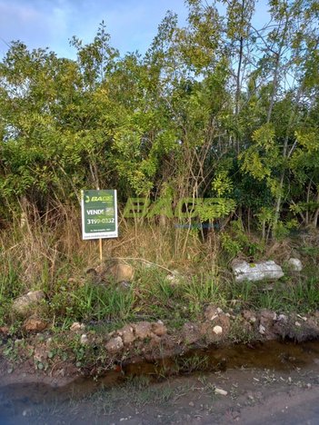 land_lot em Viana do Castelo, Laranjal - Pelotas - RS