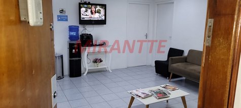 business em Tucuruvi, Tucuruvi - São Paulo - SP