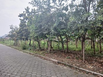 land_lot em Rua Amaro Muller, Margem Esquerda - Gaspar - SC