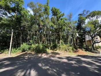 land_lot em Rua Nestor Rushel, Lagos do Bosque - Gramado - RS