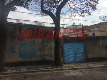 land_lot em Rua Antônio Ferreira da Silva, Parque Mandaqui - São Paulo - SP