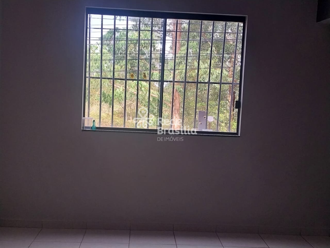 WhatsApp Image 2025-11-28 at 16.34