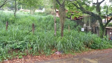 land_lot em Avenida General Atratino Côrtes Coutinho, Serra Grande - Niterói - RJ