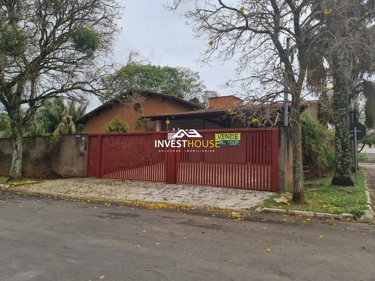 imagem1
