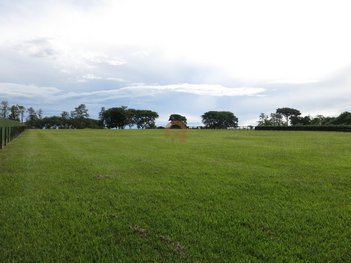 land_lot em Rodovia Presidente Castello Branco, Fazenda Boa Vista I - Porto Feliz - SP