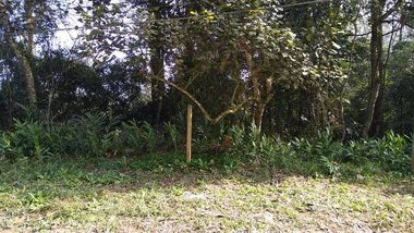 land_lot em Rua José de Alencar, Santa Luzia - Ribeirão Pires - SP