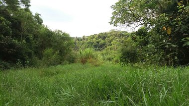 land_lot em Estrada Arlindo Moraes Costa, Parque dos Caetes - Embu das Artes - SP