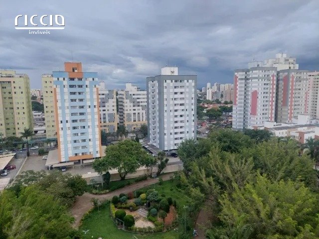 313467716040295