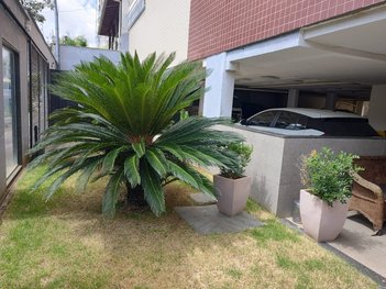 apartment em Rua Castelo de Almada, Castelo - Belo Horizonte - MG