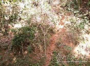 land_lot em Rua Carvalho Júnior, Corrêas - Petrópolis - RJ