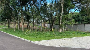 land_lot em Rua Anastácio Homann, Orleans - Curitiba - PR