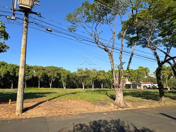 land_lot em Rua Doutor Galdino de Carvalho, Nova Piracicaba - Piracicaba - SP