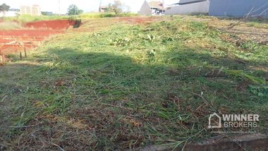 land_lot em Estrada Perobinha, Marialva - Marialva - PR