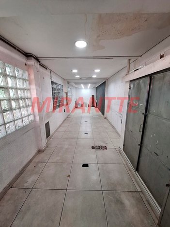 business em Mazzei, Vila Mazzei - São Paulo - SP