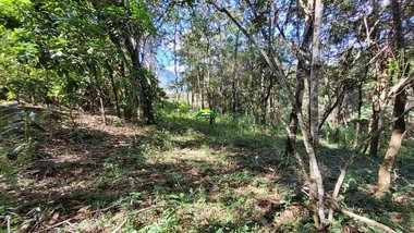 land_lot em Rua São Barto, Piedade do Paraopeba - Brumadinho - MG