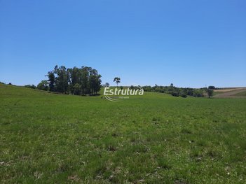 agricultural em BR-392, Tomazetti - Santa Maria - RS