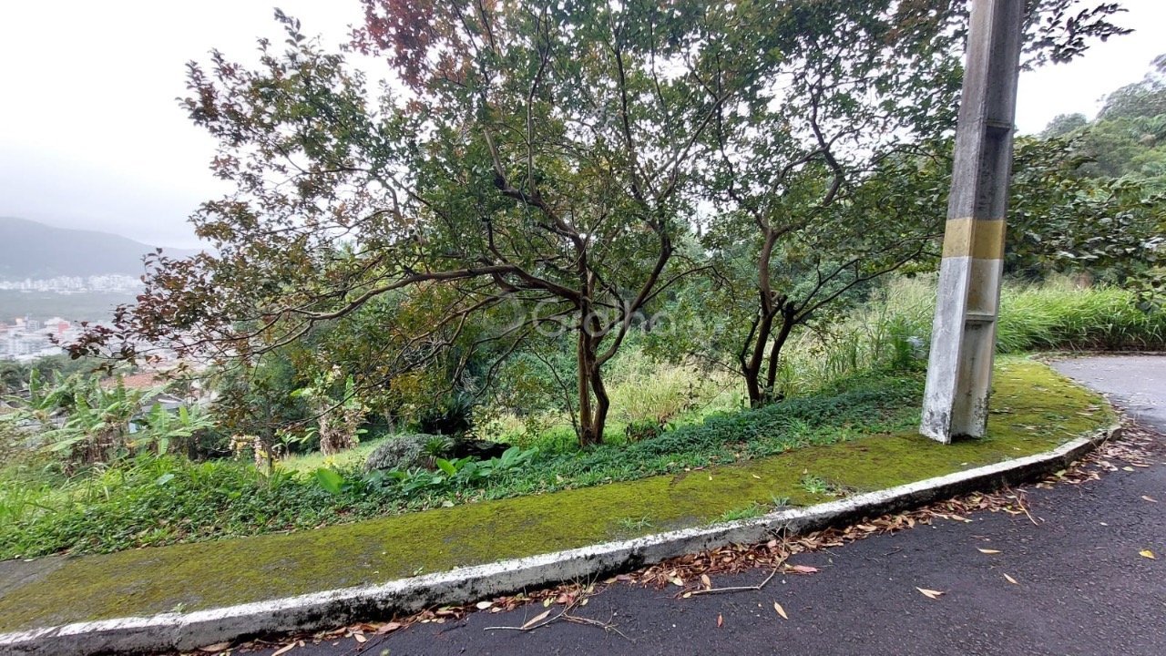 5-Final da rua do condominio