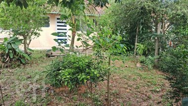 house em Rua Pau de Canela, Rio Tavares - Florianópolis - SC