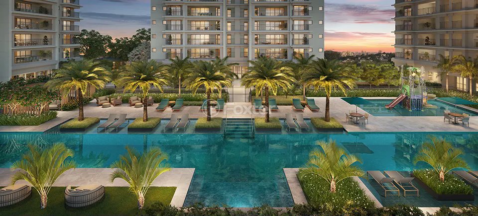 area-de-lazer-com-piscina-e-palmeiras