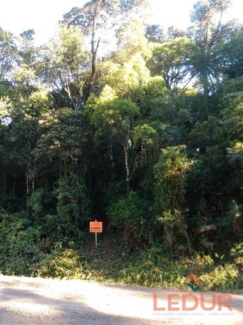 land_lot em Rua São Bernardo, São Francisco de Paula - São Francisco de Paula - RS