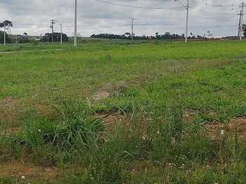 land_lot em Rua Reynaldo Lisi, Recanto Sao Geraldo - Saltinho - SP