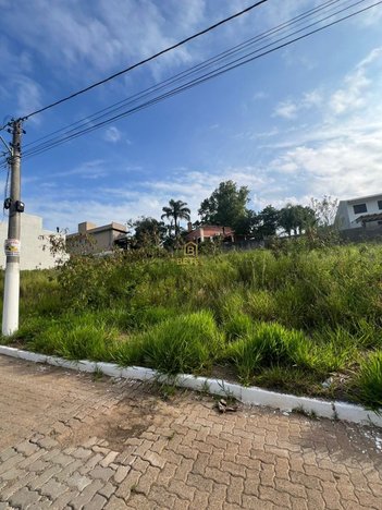 land_lot em Rua Luiz Toledo, Dom Feliciano - Gravataí - RS