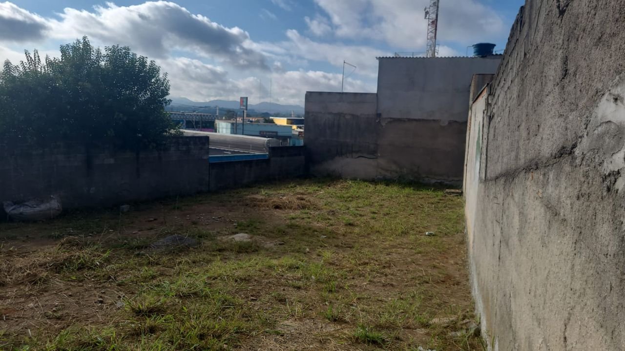 foto_certa_migr - 2