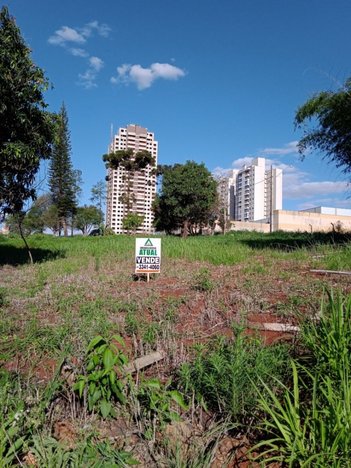 land_lot em Rua João Knox, Gleba Fazenda Palhano - Londrina - PR