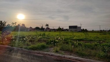 land_lot em Rua Maria Floriano Pavan, Jardim das Oliveiras - Araçatuba - SP