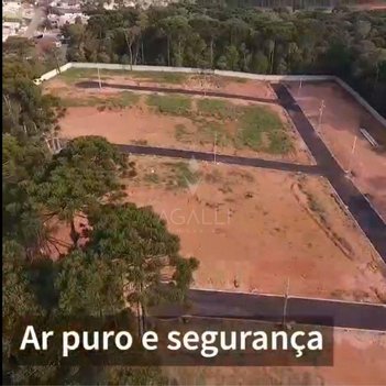 land_lot em Rua Flamingos, Gralha Azul - Fazenda Rio Grande - PR