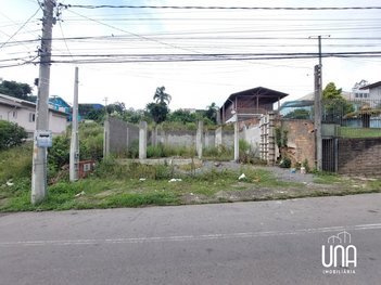 land_lot em Rua Ângelo Marcon, Ouro Verde - Bento Gonçalves - RS