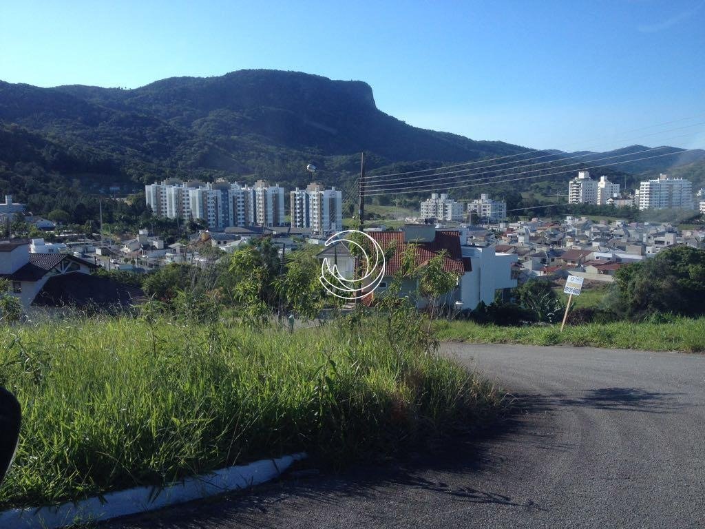 Decio foto 1