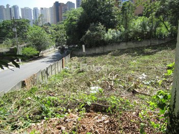 land_lot em Rua David Gebara, Vila Suzana - São Paulo - SP