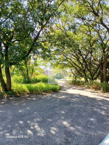 commercial_land_lot em Avenida Manoel Monteiro de Araújo, Parque São Domingos - São Paulo - SP