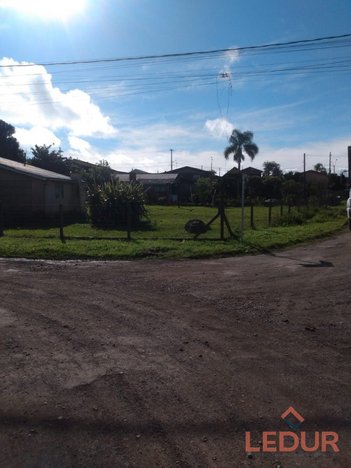 land_lot em Rua Carlos Gomes, São Francisco de Paula - São Francisco de Paula - RS